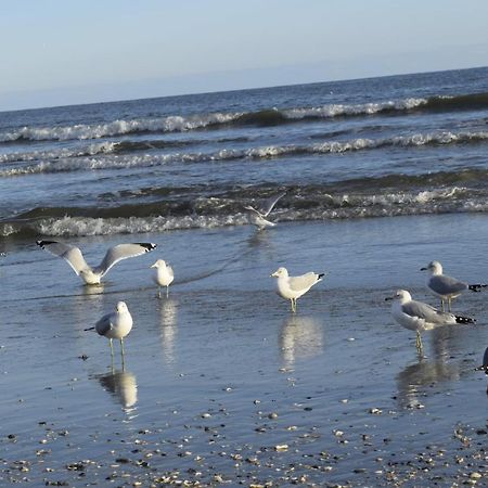 Loris Landing cottage Myrtle Beach Esterno foto